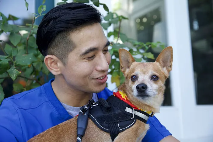 Sunshine Veterinary Care 6