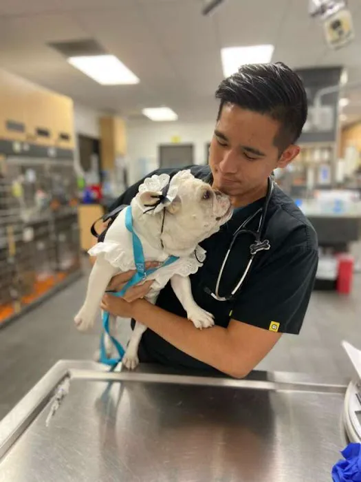 Sunshine Veterinary Care 9