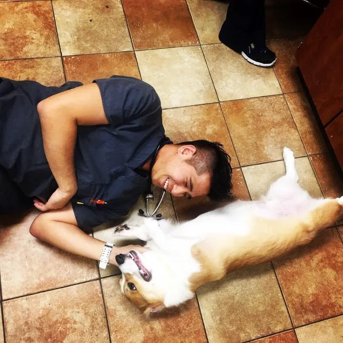 Sunshine Veterinary Care 5