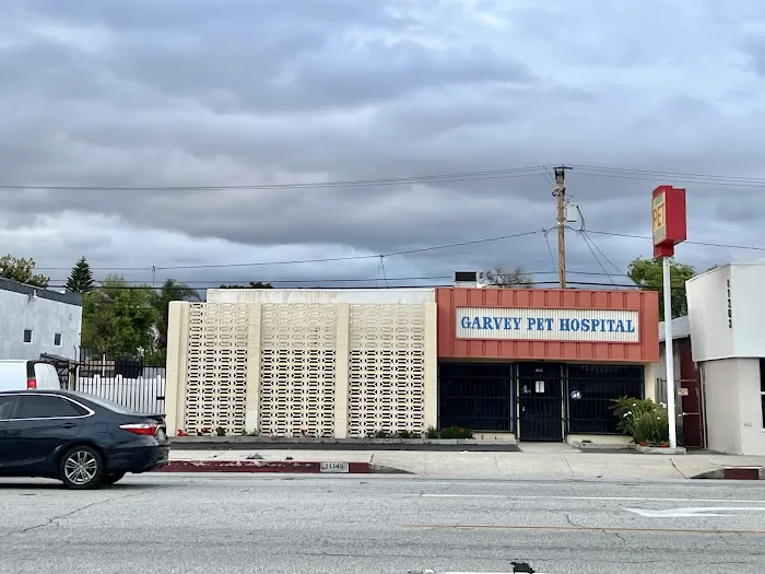Garvey pet hospital 2