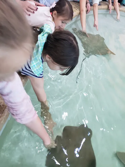 Kingfish Aquarium Services 12
