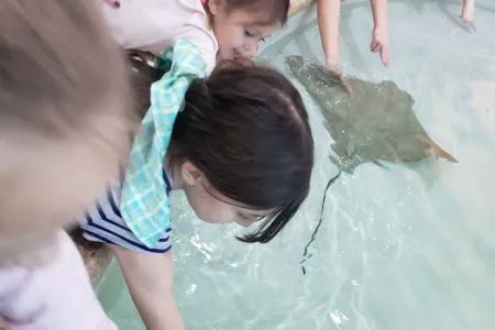 Kingfish Aquarium Services