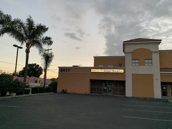 Pet Care Animal Hospital 1
