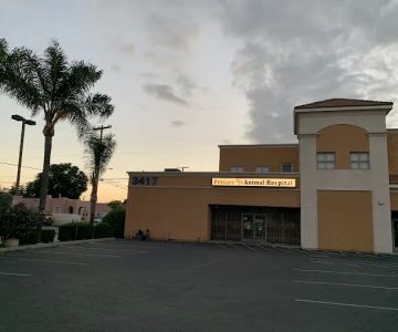 Pet Care Animal Hospital