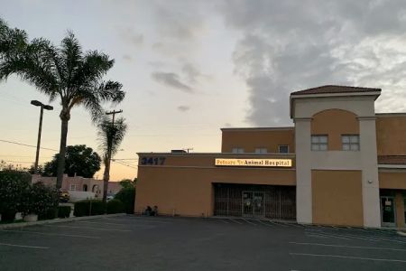 Pet Care Animal Hospital