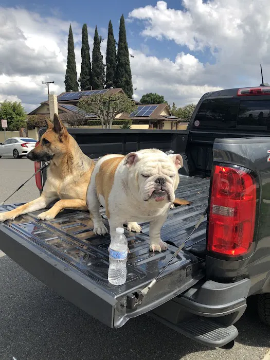 Pet Care Animal Hospital 10