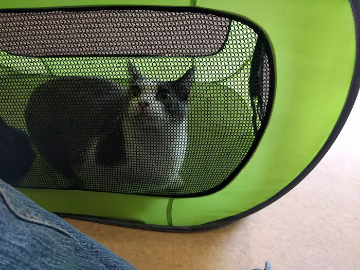 Pet Care Animal Hospital 6