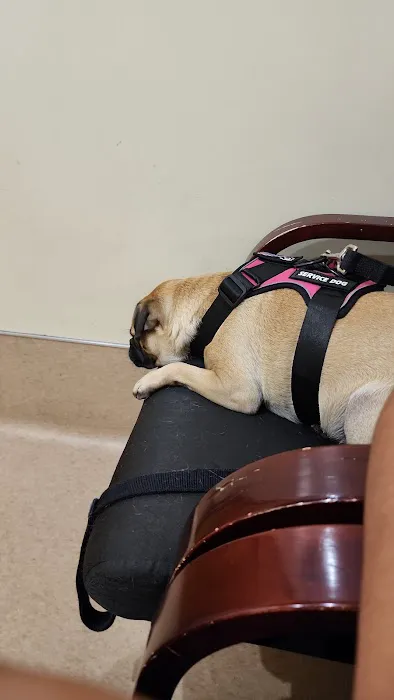 Pet Care Animal Hospital 2