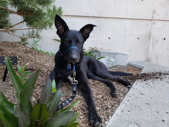 Petco 12