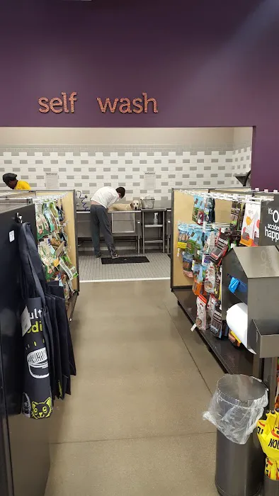 Petco 12