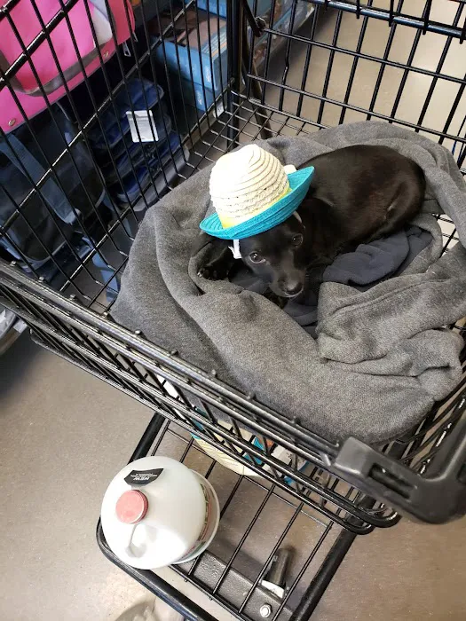 Petco 12