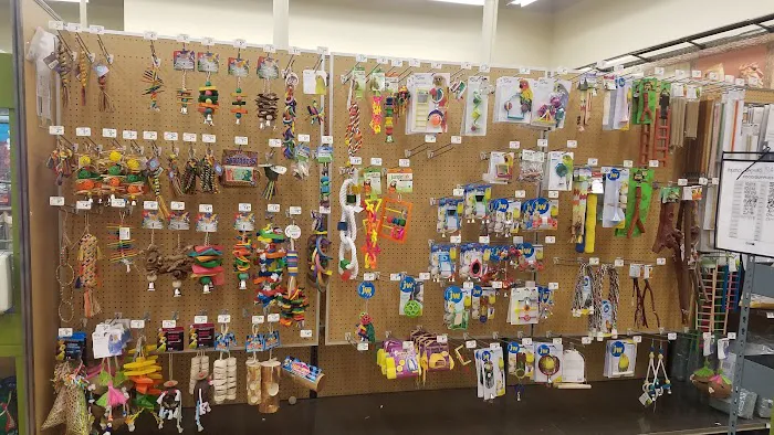 Petco 12