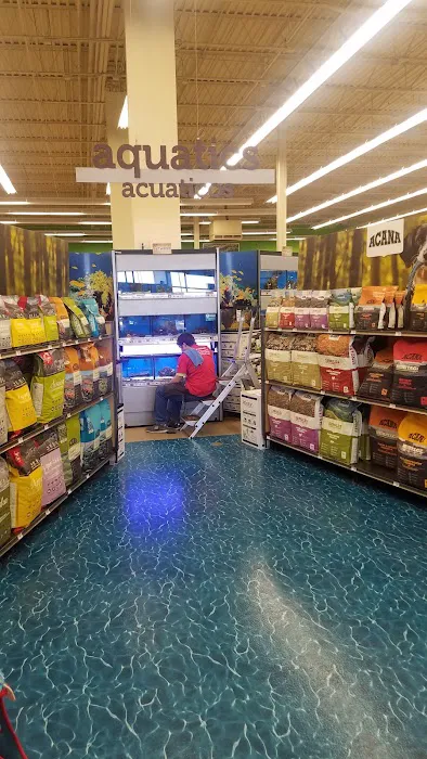 Petco 12