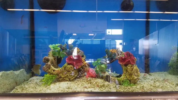 Petco 12