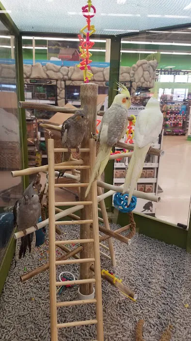 Petco 12