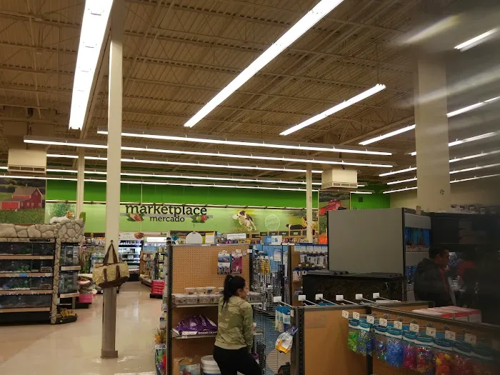 Petco 12