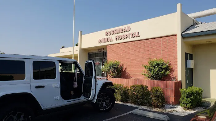 Rosemead Animal Hospital 7