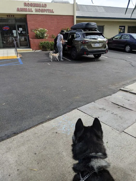 Rosemead Animal Hospital 9