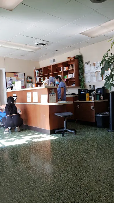 Rosemead Animal Hospital 4