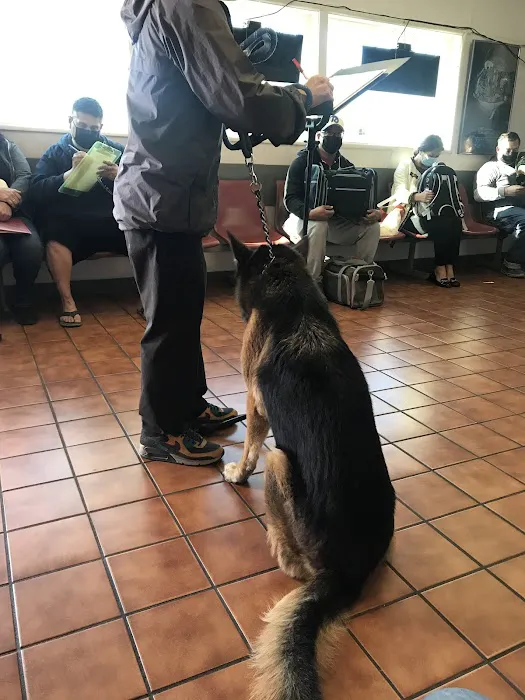 Valley Veterinary Hospital 7