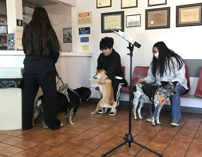 Valley Veterinary Hospital 6