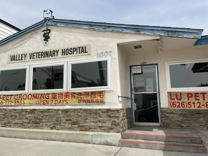 Valley Veterinary Hospital 2