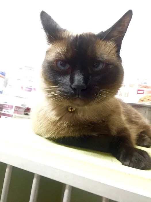 Valley Veterinary Hospital 10