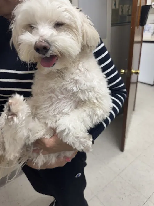 Atlantic Animal Hospital 1