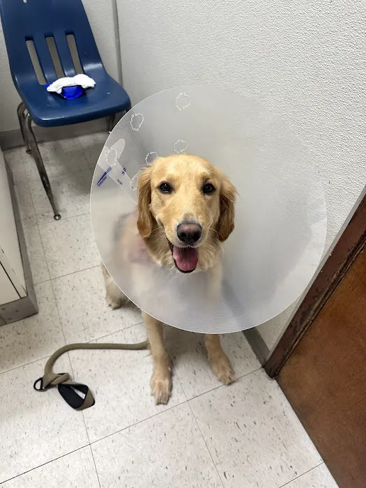 Atlantic Animal Hospital 8
