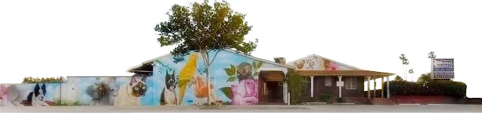 Temple City Animal Hospital 12