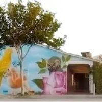 Temple City Animal Hospital ico