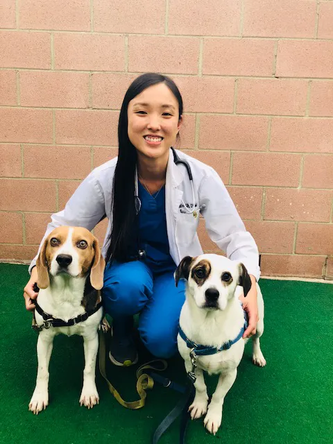Temple City Animal Hospital 12