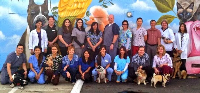 Temple City Animal Hospital 12