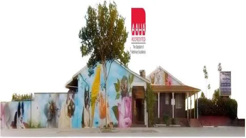 Temple City Animal Hospital 12