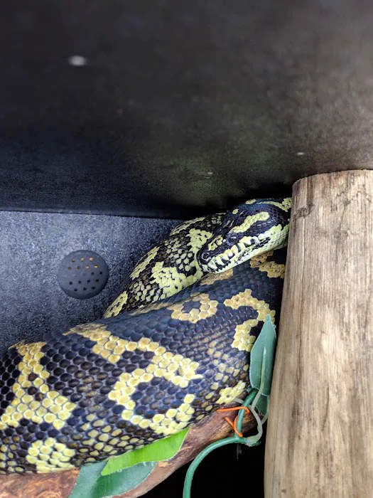 5280 Reptile Room - West 12