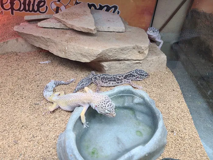 5280 Reptile Room - West 12