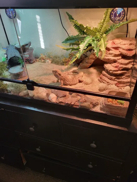 5280 Reptile Room - West 12