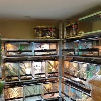 5280 Reptile Room - West ico