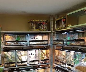 5280 Reptile Room - West
