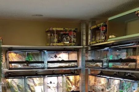 5280 Reptile Room - West