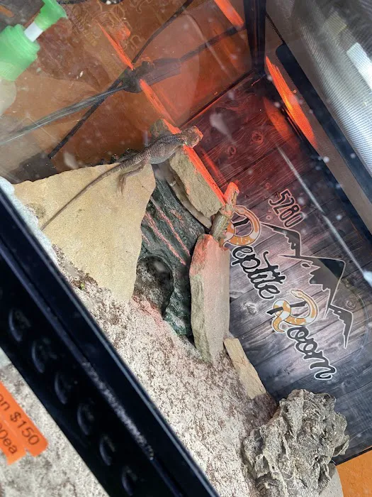 5280 Reptile Room - West 12