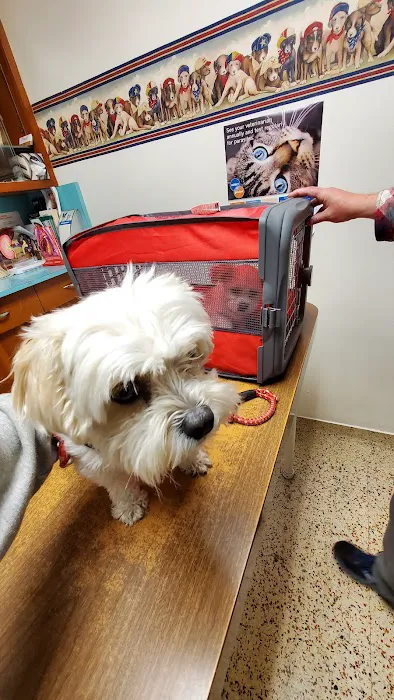 Las Tunas Animal Hospital 12
