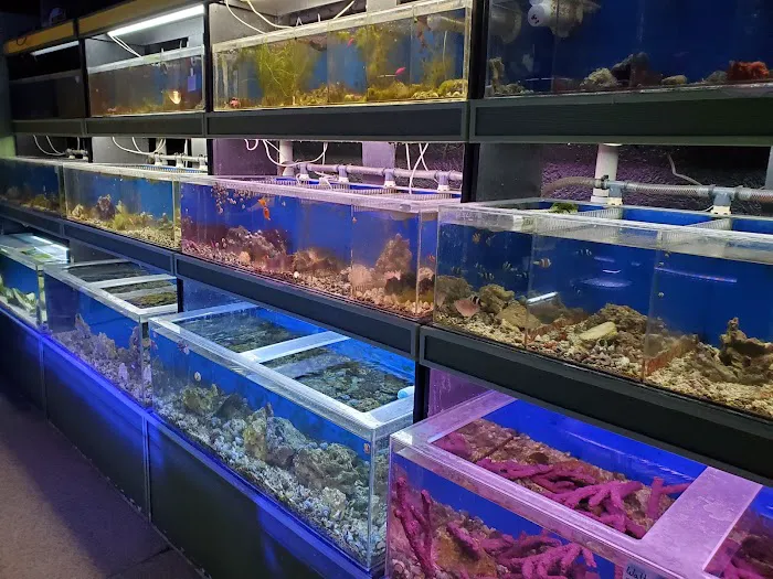 Fish Den Inc. 12