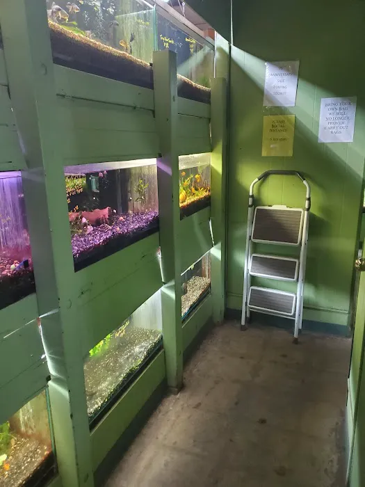 Fish Den Inc. 12