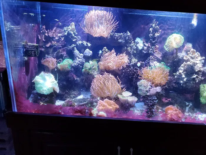 Fish Den Inc. 12