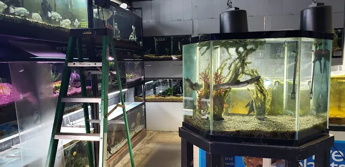 Fish Den Inc. 12