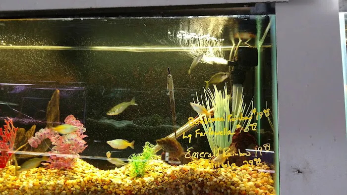 Fish Den Inc. 12