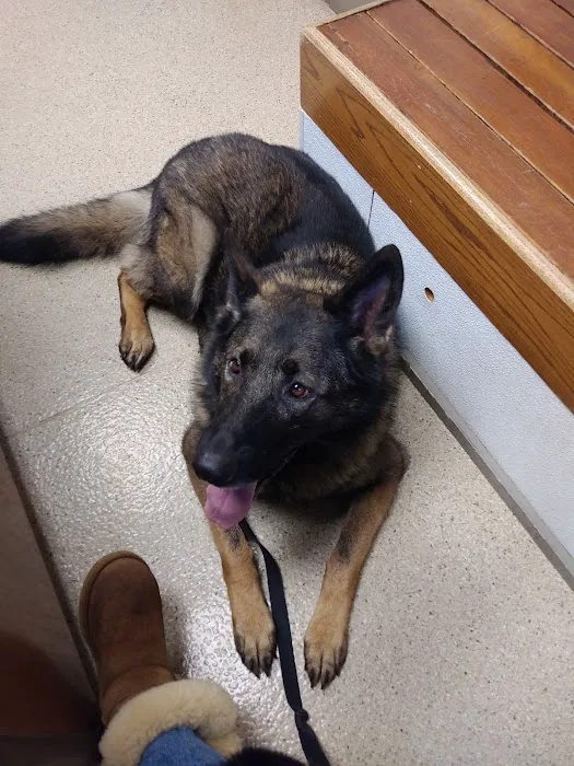 VCA Snohomish Animal Hospital 4