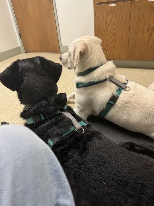 VCA Snohomish Animal Hospital 10