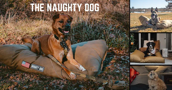 The Naughty Dog 12